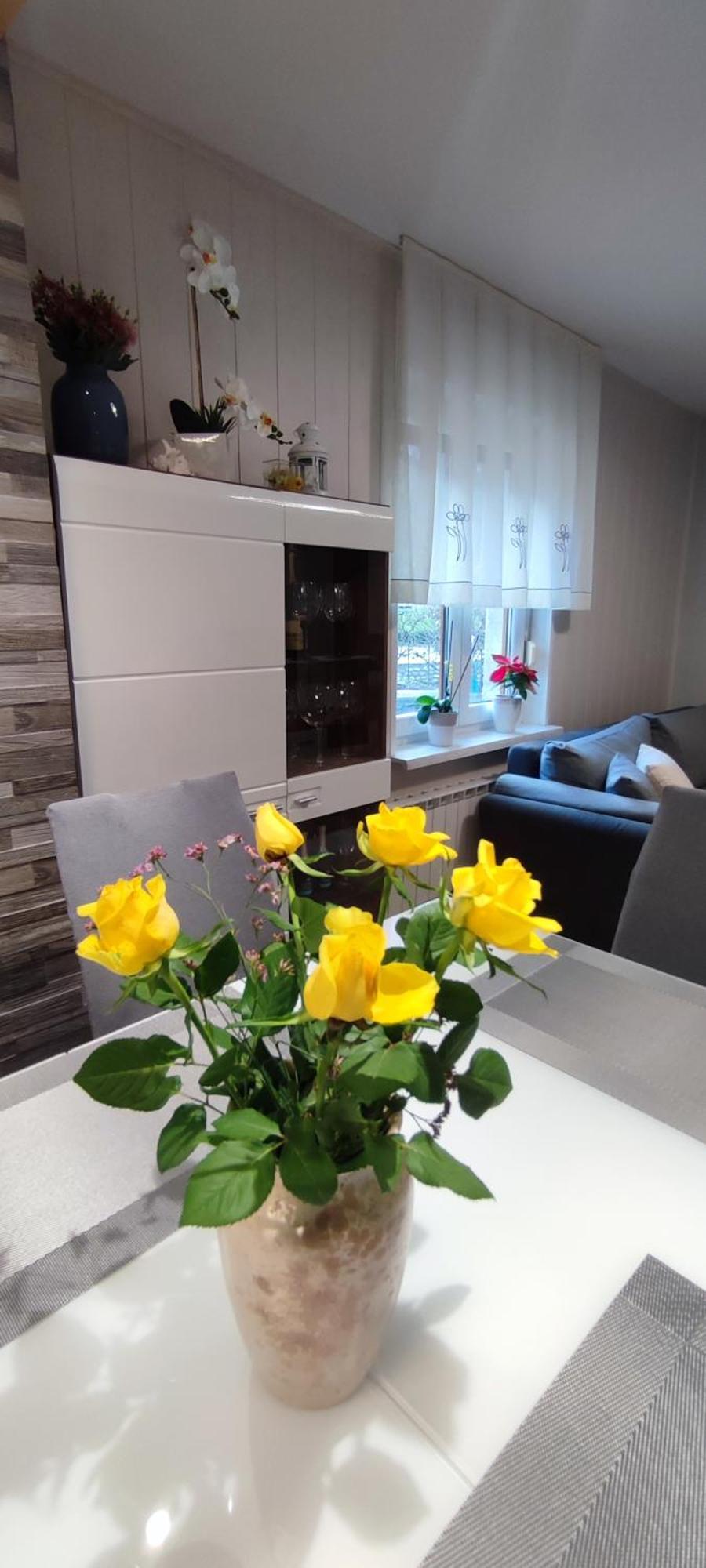 Apartma Soca Oasis Srpenica Zewnętrze zdjęcie